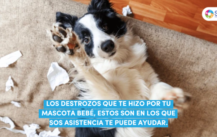 blog chile abril 2025