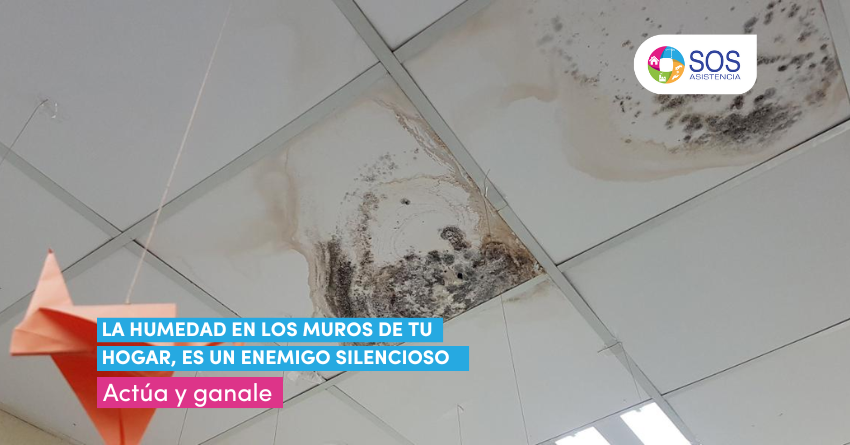 LA HUMEDAD EN LOS MUROS DE TU HOGAR: UN ENEMIGO SILENCIOSO